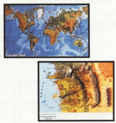 3D Raised relief plastic models/Maps